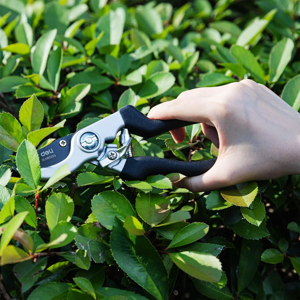 Deli Garden Pruning Shears, 8 Bypass Gardening Pruner, Garden Scissors, Garden  Clippers, Black 