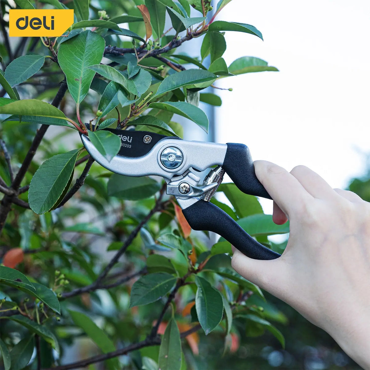 http://www.aookmiya.com/cdn/shop/files/Deli-8-5-Inch-Garden-Scissors-Professional-Sharp-Bypass-Pruning-Shears-Tree-Trimmers-Secateurs-Clippers-Garden_1200x1200.webp?v=1701859455