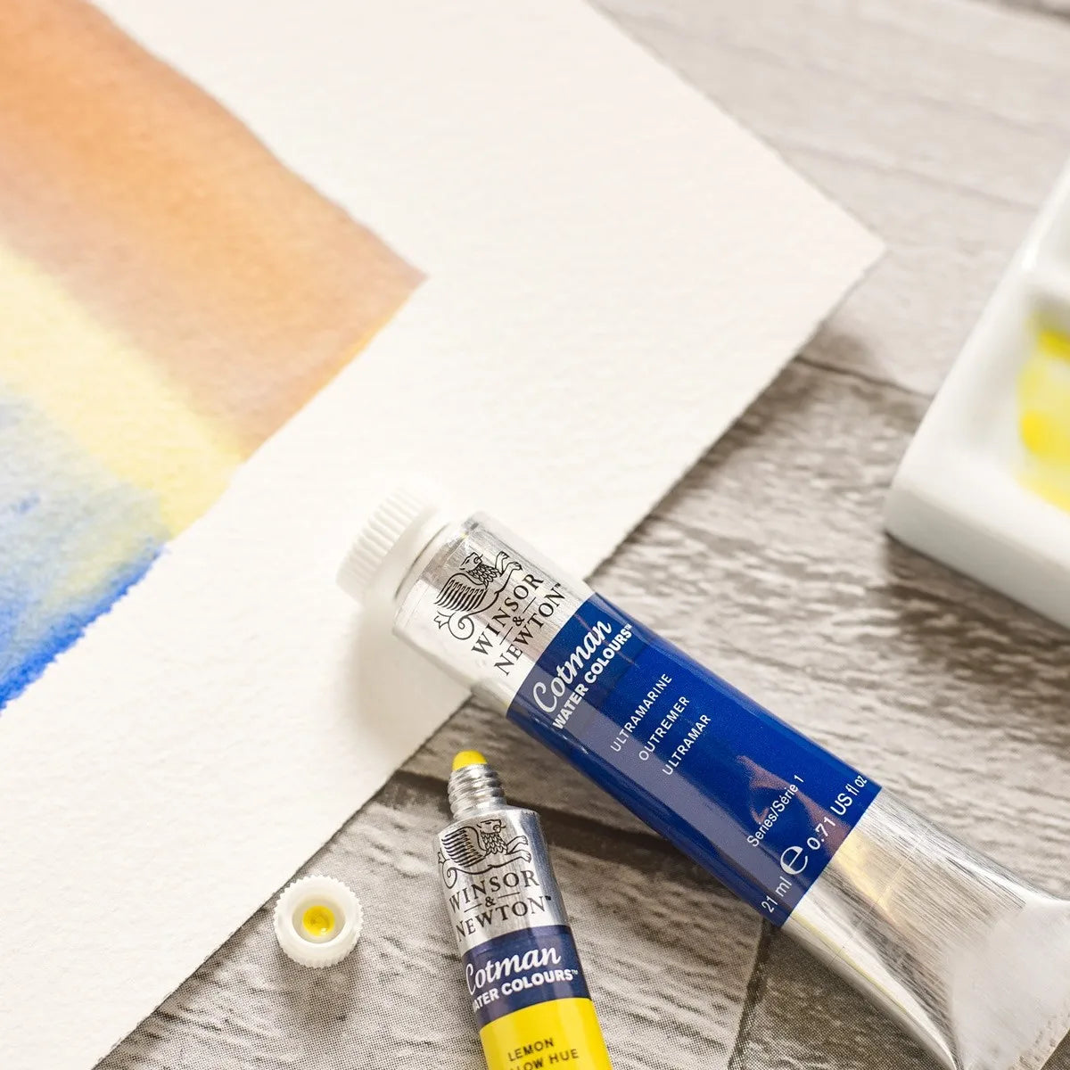 Winsor & Newton Cotman Watercolor Paint Set, 10/20 Colors, 5ml Tube Water  Color Painting Art Painting Supplies