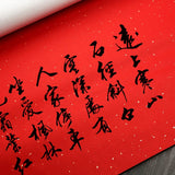 100 Sheets Raw Xuan Paper Rijstpapier Xuan Paper Painting Calligraphy Rice Paper Carta Di Riso Calligraphy Paper Supply 69*138cm