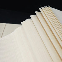 100pcs Chinese Calligraphy Paper Thicken Raw Xuan Paper Chinese Painting Calligraphy Practice Bamboo Ripe Rice Paper Rijstpapie