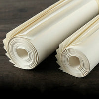 2/3 Layers Xuan Paper for Calligraphy Landscape Painting 10sheets Multiple Layer Chinese Raw Xuan Paper Calligraphy Paper