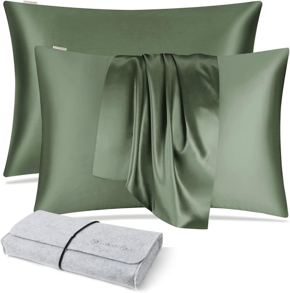 DISANGNI 100% Silk Pillow Cases 2 Packfor Hair and Skin,with Hidden Zipper 22 Momme Both Sides Pure Natural Mulberry Silk Real Silk Pillow Case (2 pc Standard Size 20"x26" Green)