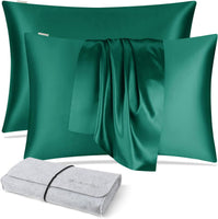 DISANGNI 100% Silk Pillow Cases 2 Packfor Hair and Skin,with Hidden Zipper 22 Momme Both Sides Pure Natural Mulberry Silk Real Silk Pillow Case (2 pc Standard Size 20"x26" Green)