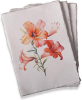 Watercolor Paper, 160 GSM 8.3 x 5.8 inch Made from Egyptian Cotton, 50 Cotton Watercolor Paper, Handmade Paper, Cotton Paper, Textured Paper,Old Paper, Deckled Edge Paper, Printmaking Paper