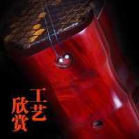 African Leaflet Rosewood Erhu, Dragon Head Erhu, 100% Ture, Golden Flower, Python Skin, Chinese Instrument, Professional Er Hu