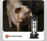 Bomba Submersível De Aço Inoxidável, Irrigação Agrícola, Água Limpa, Casa, Lavagem De Carro, Rega Vegetal, 220V