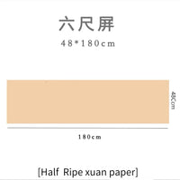 Chinese Calligraphy Painting Raw Rice Paper Papel Arroz Beginners Brush Pen Writing Practice Papier Chinese Half Ripe Xuan Paper