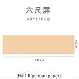 Chinese Calligraphy Painting Raw Rice Paper Papel Arroz Beginners Brush Pen Writing Practice Papier Chinese Half Ripe Xuan Paper