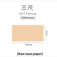 Chinese Calligraphy Painting Raw Rice Paper Papel Arroz Beginners Brush Pen Writing Practice Papier Chinese Half Ripe Xuan Paper