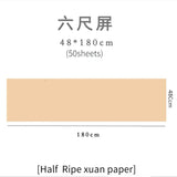 Chinese Calligraphy Painting Raw Rice Paper Papel Arroz Beginners Brush Pen Writing Practice Papier Chinese Half Ripe Xuan Paper