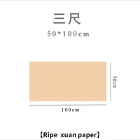 Chinese Calligraphy Painting Raw Rice Paper Papel Arroz Beginners Brush Pen Writing Practice Papier Chinese Half Ripe Xuan Paper