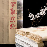 Chinese Painting Yunlong Xuan Paper Half Ripe Yunlong Xuan Paper Calligraphy Paper Handmade Crude Fiber Xuan Zhi Papel Arroz