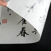 Chinese Rice Paper  Long Roll Calligraphy Writing Painting Xuan Paper Chinese Painting Dedicated Half-Ripe Xuan Paper Supplies