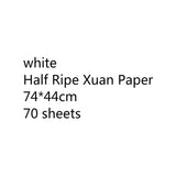 Chinese Thicken Half Ripe Xuan Paper Chinese Raw Rice Paper Beginners Brush Calligraphy Painting Practice Papier Mulberry Paper