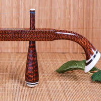 Chinese Two Strings Violin Professional Erhu, Snakewood Urheen , Come with Bow, Case and Accessories Musical Instrument