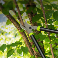 Deli 1 Pcs Set Pruning Shears Fence Shear High Branch Shears Pruning Tool Garden Grass Pruner Tree Cutter Household Hand Tools