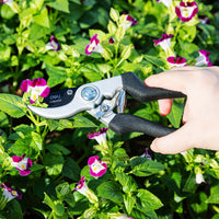 Deli 8.5 Inch Garden Scissors Professional Sharp Bypass Pruning Shears Tree Trimmers Secateurs Clippers Garden Scissor