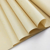 Gilding Xuan Paper Chinese Traditional Calligraphy Rice Paper Calligraphy Writing Chinese Painting Half-Ripe/Ripe/Raw Xuan Paper