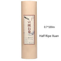 Handmade Thicken Half Ripe Rice Paper Chinese Sandalwood Bark Papier Long Roll Calligraphy Painting Raw Xuan Paper Papel Arroz