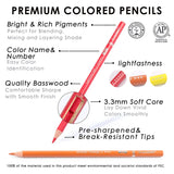 KALOUR300 Colors Colored Pencils Set Artists Soft Core Vibrant Color Coloring Sketching Pencils Adults Beginners