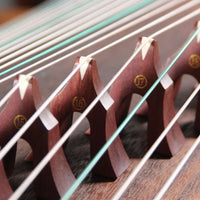 Phoebe Guzheng Solid Wood Beginner Professional Grade Test Playing Grade Guzheng