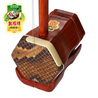 Professional Dunhuang Brand 06A Erhu Solid Wood Urheen with Case All Accessories Musical Instruments Two Strings China Violin