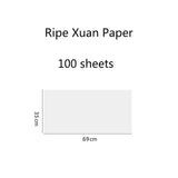 Rice Paper Half-Ripe Xuan Paper Calligraphy Running Regular Cursive Script Writing Raw Ripe Xuan Paper for Chinese Ink Painting