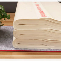 Rice Paper Half-Ripe Xuan Paper Calligraphy Running Regular Cursive Script Writing Raw Ripe Xuan Paper for Chinese Ink Painting