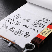 Rolling Chinese Calligraphy Painting Hemp Paper Rijstpapier Half-Ripe Xuan Paper Natural Flower Plants Fiber Yunlong Rice Paper