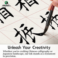 AOOKMIYA 1pc 100g/250g/500g Marie's Calligraphy & Sumi Liquid Ink Bottle for Artists for Practice Chinese Traditional Art Works