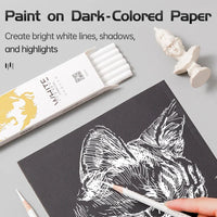 AOOKMIYA 12pcs Marie's White Charcoal Pencils Set,Sketch Highlight Pencils,for Sketching,Shading,Blending,Supplies for Beginners,Artists