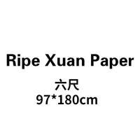 Thicken Sandalwood Rice Paper Chinese Calligraphy Brush Pen Works Xuan Paper Chinese Painting Freehand Landscape Drawing Papier