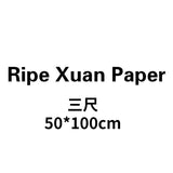 Thicken Sandalwood Rice Paper Chinese Calligraphy Brush Pen Works Xuan Paper Chinese Painting Freehand Landscape Drawing Papier