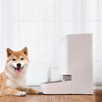 Xiaomi Mijia Smart Pet Feeder Automatic Feeding Timing Design Keep Food Fresh Make a Pet Diet Plan Work With Mi Home App