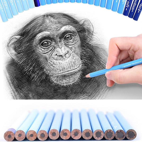 29pcs Sketch Pencil Set Professional Sketching Drawing Kit Wood