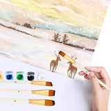 Acrylic Paint Brush, 15 Size Acrylic Brushes for Painting. Contains Premium Nylon Hair and Art Knife, Sponge White