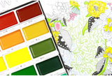 Kuretake Gansai Tambi Juego de pinturas, serie de 36 colores, 36 colors