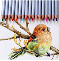 Marco Professional Oil Colored Pencil Painting Set Non-toxic Lead-free Sketching Pencil Writing Pen Kids Gift School Supplies