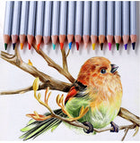 Marco Professional Oil Colored Pencil Painting Set Non-toxic Lead-free Sketching Pencil Writing Pen Kids Gift School Supplies