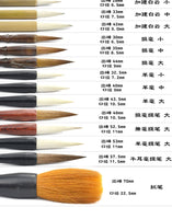 8/14/19 piece set of high quality brush Chinese calligraphy wolf brush hook line pen student school art painting supplies