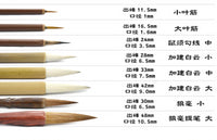 8/14/19 piece set of high quality brush Chinese calligraphy wolf brush hook line pen student school art painting supplies