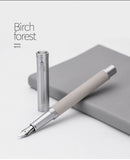 NEW Fountain Pen With Luxury Set 0.5mm Black F Nib Converter Pen Steel Ink Pens Simple Business Signing Pen Writing Pens