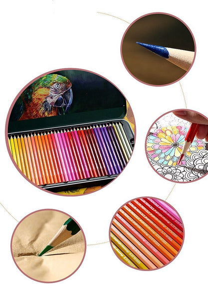 72 Colors Professional Color Pencil Set Iron Box Colored Colour