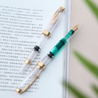 DINGYI Plastic Clean Transparent Fountain Pen 0.5/0.38mm/Curved Nib Art Writing Calligraph Piston Ink Pen School Office Supplies