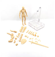 SHFiguarts BODY KUN BODY CHAN Modern Mannequins Action Figure Drawing Sketch Model With Stand For Camera Lines Stationery Set