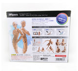 SHFiguarts BODY KUN BODY CHAN Modern Mannequins Action Figure Drawing Sketch Model With Stand For Camera Lines Stationery Set