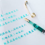 DINGYI Plastic Clean Transparent Fountain Pen 0.5/0.38mm/Curved Nib Art Writing Calligraph Piston Ink Pen School Office Supplies