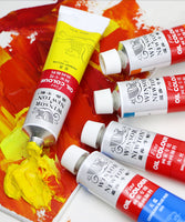 Windsor Newton 24 colors 45ml oil paint single aluminum tube beginner painter special oil paint art painting tool