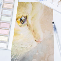 AOOKMIYA Superior 5/8 cores pérola sólido aquarela tintas conjunto aurora pigmento para pintura artista desenho arte suprimentos